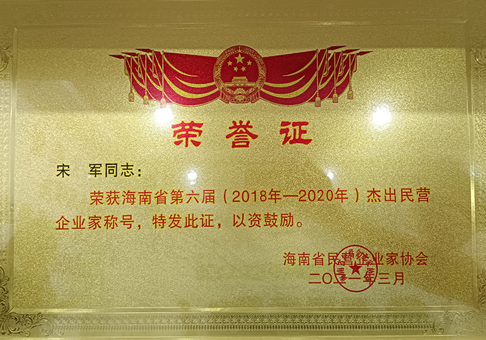 荣获海南省第六届杰出民营企业称号